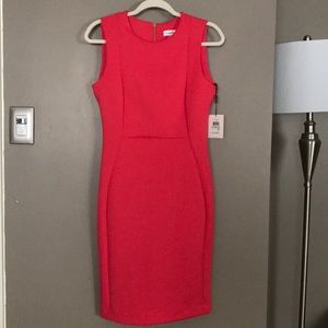 Calvin Klein Scuba Shift Dress